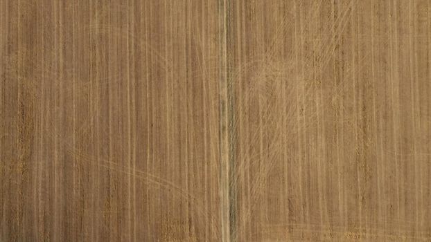 Top Down Aerial View of Green and Yellow Wheat Field Farm and Greenhouses. Golden Crops During Pasture Aerial View. Agricultural Work in Summer During Drought. Grain Crisis. Nature, Harvesting, Eco