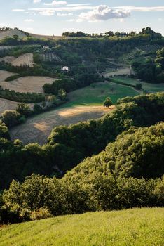 View of the fields and trees near Belvedere Fogliense in the Marche region of Italy, at evening before the sun sets.