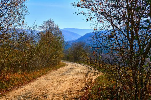Autumn is one of the four temperate seasons. Outside the tropics, autumn marks the transition from summer to winter. Golden bright autumn and rural road in the mountains on a warm day.