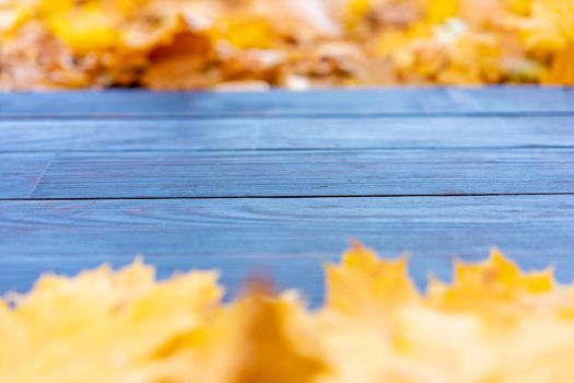 Empty wooden table nature bokeh background with autumn yellow maple leaf boarder Template mock up for display of product Copy space. Mock up for your design.