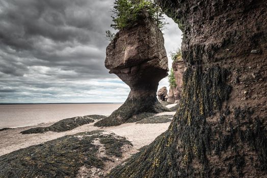 Bay of Fundy Hopewell Rocks at Low Tide in New Brunswick