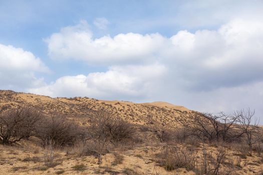 Sarykum dune. Dagestan, Russia. A unique sandy mountain in the Caucasus on a cloudy day. Grass grows on a sand dune.