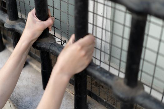 Woman in prison hands of behind hold Steel cage jail bars. offender criminal locked in jail. Prisoner hands close up holding metal cage in jail. law concept