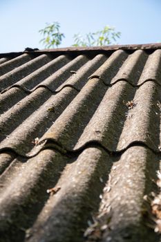 slate roof on the house.