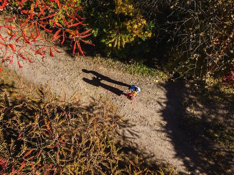 couple in love autumn, beautiful shadow, view from above