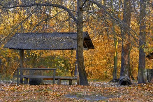 an outing or occasion that involves taking a packed meal to be eaten outdoors. Autumn picnic. Wooden gazebo house in a forest clearing for recreation camping.