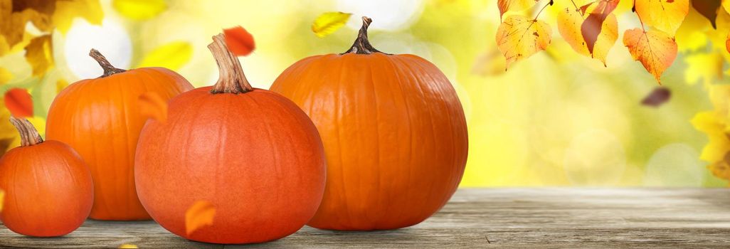 Halloween pumpkin head. Halloween decoration and background.