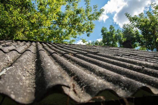 slate roof on the house.