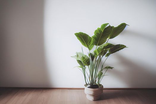 White empty room with plant. Room interior 3d illustration.