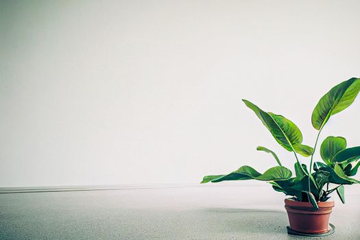 White empty room with plant. Room interior 3d illustration.