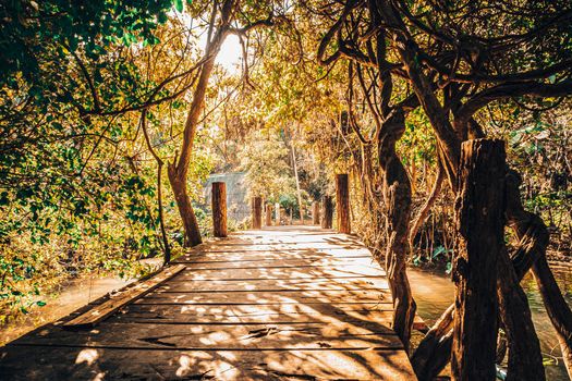 Morning Sunlight shine through old Little wooden bridge on first sunrays at morning in summer forest