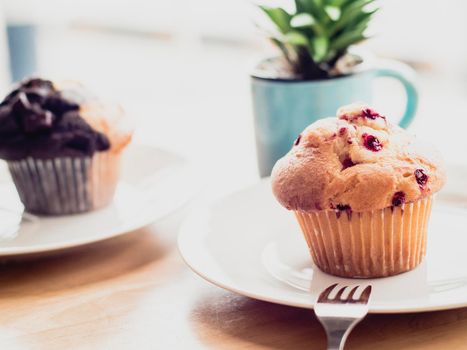 selective focus Blueberry muffins in a basket  baked blueberry muffins cooling with warm lighting