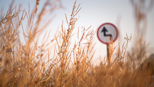 Traffic street  transportation sign over dried grass nature meadow field