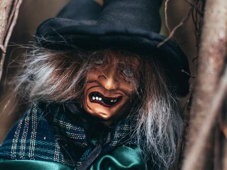 Evil witch on nature dark background, closeup portrait of old lady with terrifying makeup, Halloween background