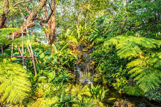 waterfall with Green nature of Fern and trees in tropical garden nature background environment.