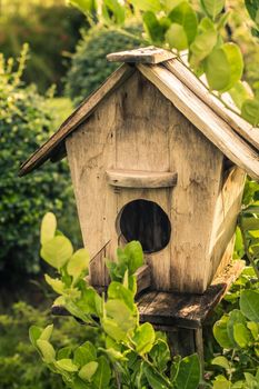 Wooden Outdoor Garden Birds Wood Nesting House Nest Home in Garden. Garden nature idea.