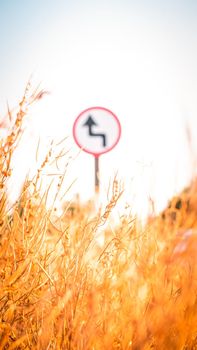 Traffic street  transportation sign over dried grass nature meadow field