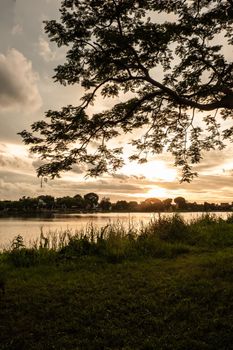 tree silhouette at sunset sky next nature river lake landscape nature background.