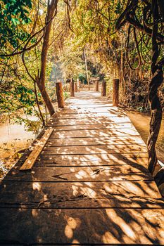 Morning Sunlight shine through old Little wooden bridge on first sunrays at morning in summer forest