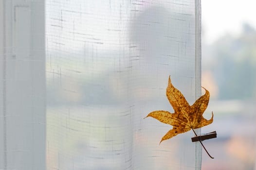 Yellow leaf on background of an autumn view from the window, warm look out the window for autumn, place for text