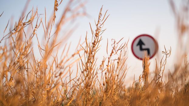 Traffic street  transportation sign over dried grass nature meadow field