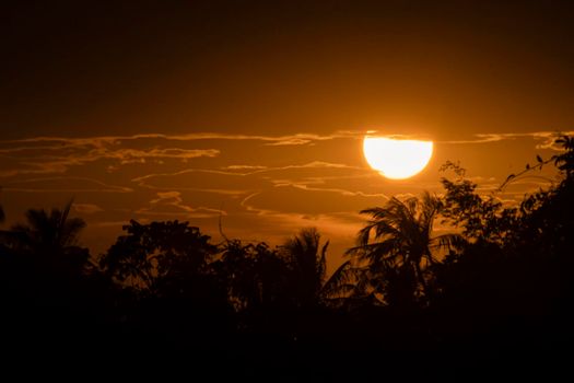 Beautiful sun at sunset sky above clouds orange sunset sky. Beautiful sky. Dramatic red yellow sunset over the forest