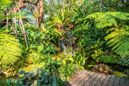 waterfall with Green nature of Fern and trees in tropical garden nature background environment.