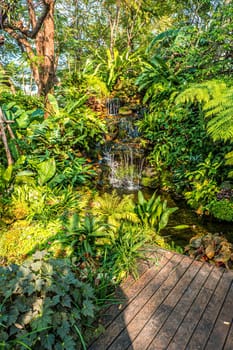 waterfall with Green nature of Fern and trees in tropical garden nature background environment.