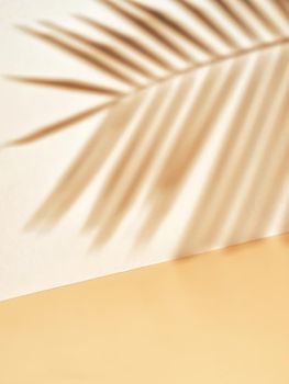 Palm leaf shadow on white wall and cream pastel floor. Abstract background of shadows palm leaf for creative summer minimal mock-up. Neutral tropical palm mockup on light backdrop.Geometric background