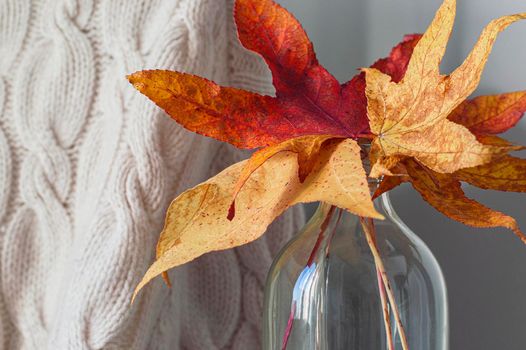 Autumnal leaves in glass vase on light knitted background.