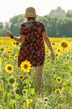 Woman among the sunflowers receive the beautiful afternoon sun.