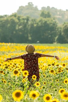 Woman among the sunflowers receive the beautiful afternoon sun.