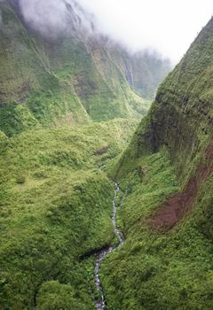 Misty Hawaiian Rainforest waterfall In Kauai
