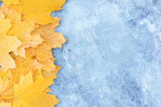 Autumn leaves frame on left side blue structured background top view Fall Border yellow and Orange Leaves vintage background table Copy space. Mock up for your design. Display for product or text