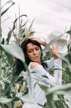 A brunette girl in a white dress in a cornfield. The concept of harvesting.