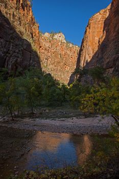 The Virgin River in Zion Canyon, Zion National Park. Utah