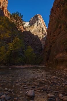 The Virgin River in Zion Canyon, Zion National Park. Utah