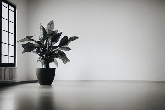 White empty room with plant. Room interior 3d illustration.