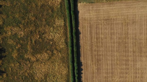 Top Down Aerial View of Green and Yellow Wheat Field Farm and Greenhouses. Golden Crops During Pasture Aerial View. Agricultural Work in Summer During Drought. Grain Crisis. Nature, Harvesting, Eco