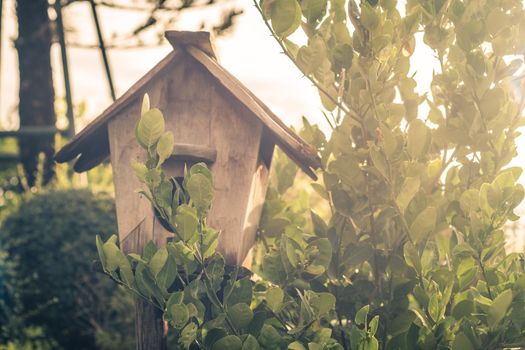 Wooden Outdoor Garden Birds Wood Nesting House Nest Home in Garden. Garden nature idea.