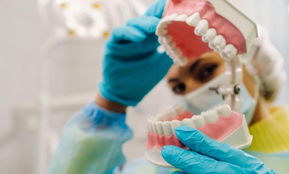 A model of a human jaw with teeth and a toothbrush in the dentist's hand.