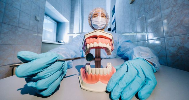 A dental doctor wearing blue gloves and a mask holds a dental model of the upper and lower jaws and a dental mirror.