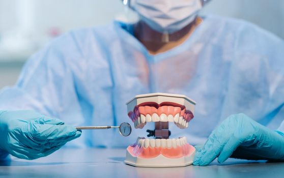 A dental doctor wearing blue gloves and a mask holds a dental model of the upper and lower jaws and a dental mirror.