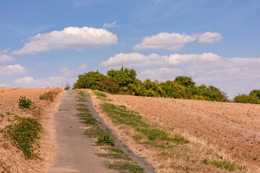 Harvested corn fields and a field path in nice weather with prominent clouds, Germany