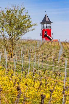 The Burgundy Tower in Rheinhessen is a lookout tower in the middle of vineyards