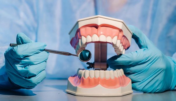 A dental doctor wearing blue gloves and a mask holds a dental model of the upper and lower jaws and a dental mirror.