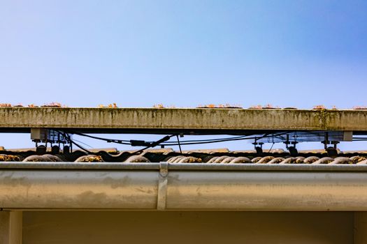 Solar modules of a photovoltaic system on a roof with the wiring underneath