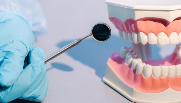 A dental doctor wearing blue gloves and a mask holds a dental model of the upper and lower jaws and a dental mirror.