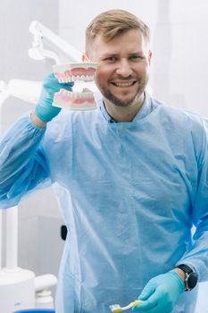 A model of a human jaw with teeth and a toothbrush in the dentist's hand.