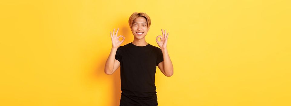 Portrait of smiling confident asian guy, looking pleased, showing okay gesture, yellow background.